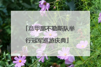 意甲那不勒斯队举行冠军巡游庆典