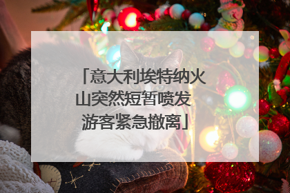 意大利埃特纳火山突然短暂喷发 游客紧急撤离