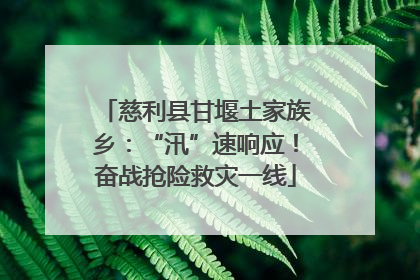 慈利县甘堰土家族乡：“汛”速响应！奋战抢险救灾一线