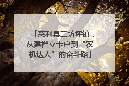 慈利县二坊坪镇：从建档立卡户到“农机达人”的奋斗路