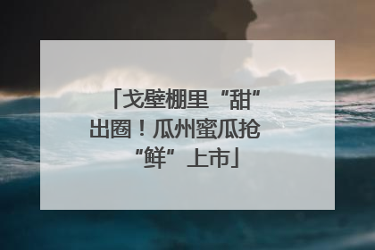 戈壁棚里“甜”出圈！瓜州蜜瓜抢“鲜”上市