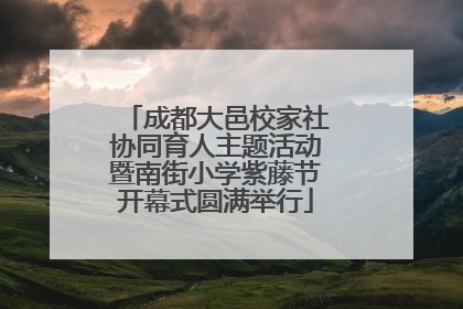 成都大邑校家社协同育人主题活动暨南街小学紫藤节开幕式圆满举行