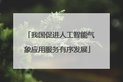 我国促进人工智能气象应用服务有序发展