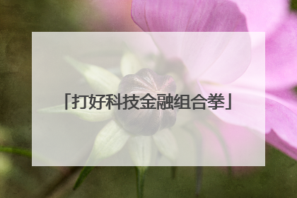 打好科技金融组合拳