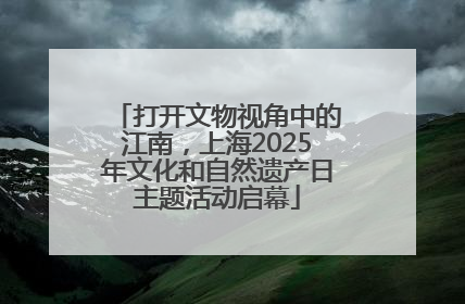 打开文物视角中的江南，上海2025年文化和自然遗产日主题活动启幕