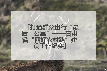 打通群众出行“最后一公里”——甘肃省“四好农村路”建设工作纪实