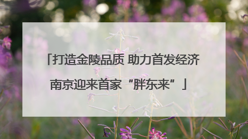 打造金陵品质 助力首发经济 南京迎来首家“胖东来”