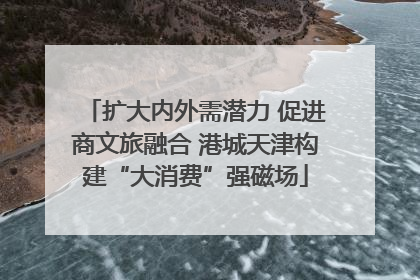 扩大内外需潜力 促进商文旅融合 港城天津构建“大消费”强磁场