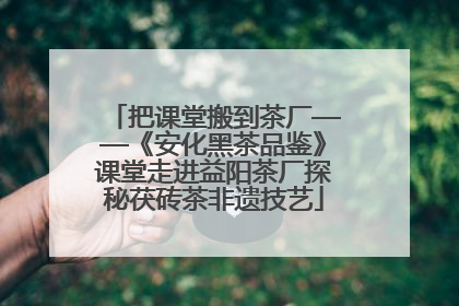 把课堂搬到茶厂——《安化黑茶品鉴》课堂走进益阳茶厂探秘茯砖茶非遗技艺
