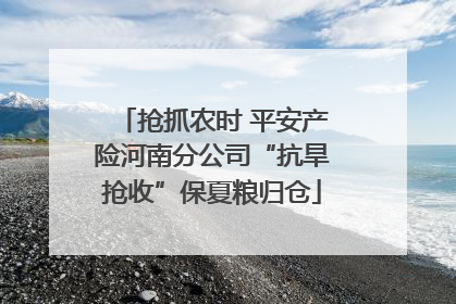 抢抓农时 平安产险河南分公司“抗旱抢收”保夏粮归仓