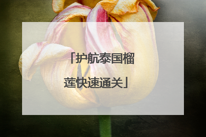 护航泰国榴莲快速通关
