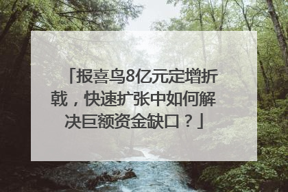 报喜鸟8亿元定增折戟，快速扩张中如何解决巨额资金缺口？