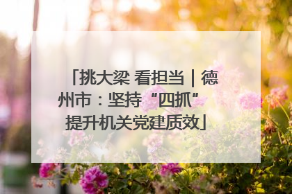 挑大梁 看担当｜德州市：坚持“四抓” 提升机关党建质效