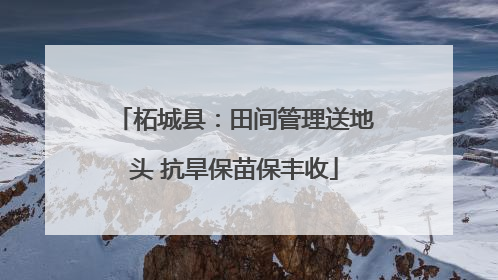 柘城县:田间管理送地头 抗旱保苗保丰收