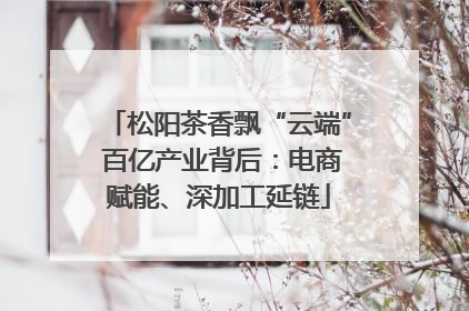 松阳茶香飘“云端” 百亿产业背后：电商赋能、深加工延链