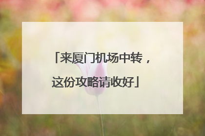 来厦门机场中转，这份攻略请收好