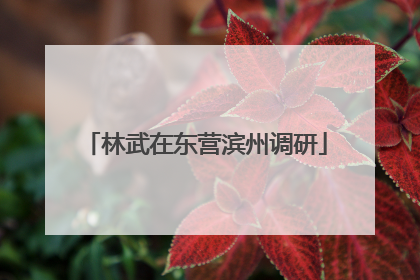 林武在东营滨州调研