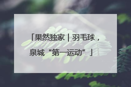 果然独家｜羽毛球，泉城“第一运动”