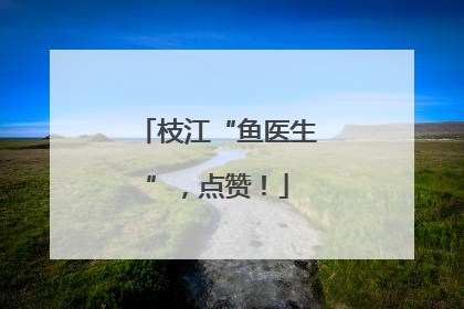 枝江“鱼医生”，点赞！