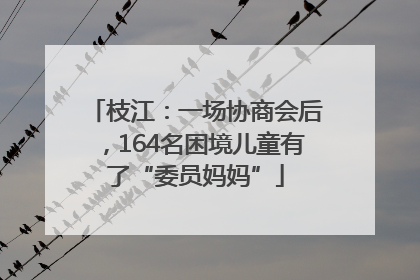 枝江：一场协商会后，164名困境儿童有了“委员妈妈”