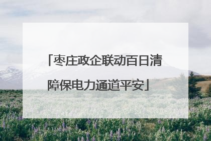 枣庄政企联动百日清障保电力通道平安