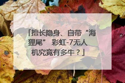 擅长隐身、自带“海狸尾” 彩虹-7无人机究竟有多牛？