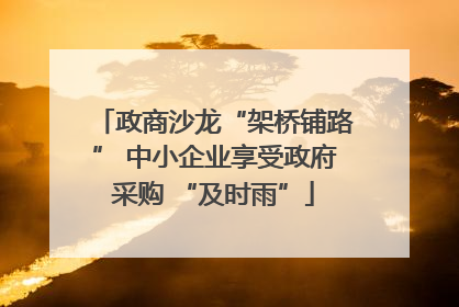政商沙龙“架桥铺路” 中小企业享受政府采购 “及时雨”