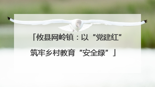 攸县网岭镇：以“党建红”筑牢乡村教育“安全绿”