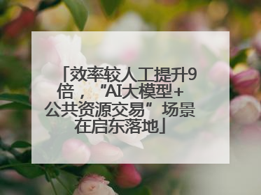 效率较人工提升9倍，“AI大模型+公共资源交易”场景在启东落地
