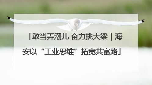 敢当弄潮儿 奋力挑大梁｜海安以“工业思维”拓宽共富路