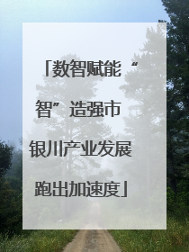 数智赋能“智”造强市 银川产业发展跑出加速度