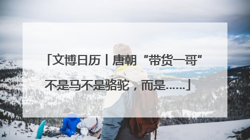 文博日历丨唐朝“带货一哥”不是马不是骆驼，而是……