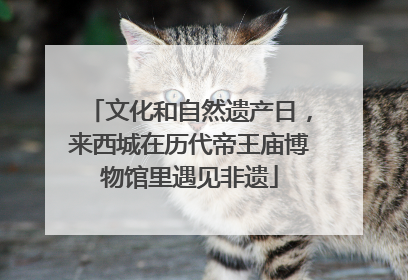 文化和自然遗产日，来西城在历代帝王庙博物馆里遇见非遗