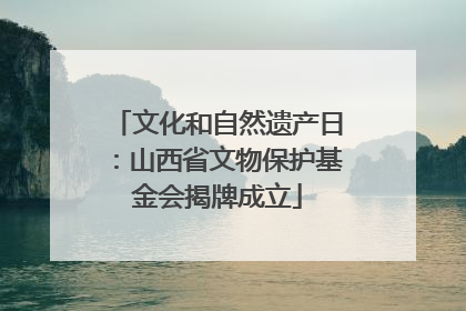 文化和自然遗产日：山西省文物保护基金会揭牌成立