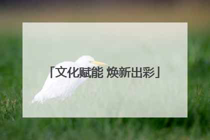 文化赋能 焕新出彩