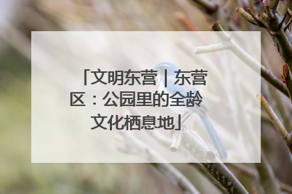 文明东营｜东营区：公园里的全龄文化栖息地