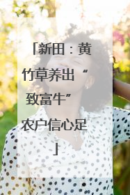 新田：黄竹草养出“致富牛” 农户信心足