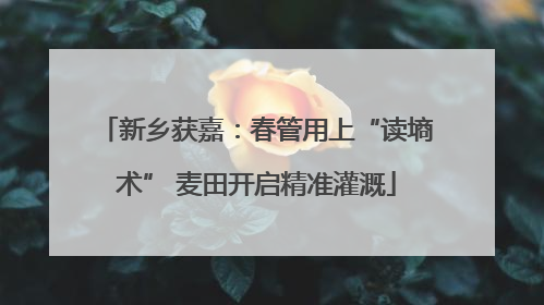 新乡获嘉：春管用上“读墒术” 麦田开启精准灌溉