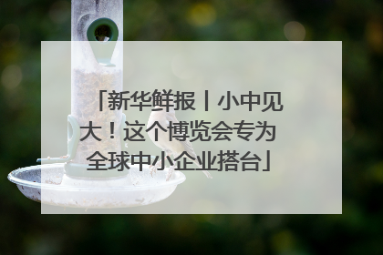 新华鲜报丨小中见大！这个博览会专为全球中小企业搭台