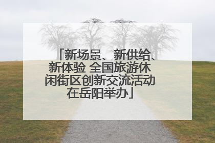 新场景、新供给、新体验 全国旅游休闲街区创新交流活动在岳阳举办