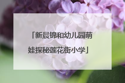 新晨锦和幼儿园萌娃探秘莲花街小学