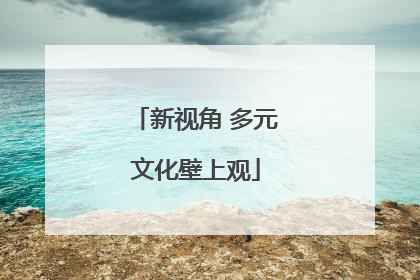 新视角 多元文化壁上观
