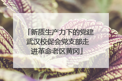 新质生产力下的党建 武汉校促会党支部走进革命老区黄冈
