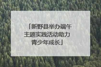 新野县举办端午主题实践活动助力青少年成长