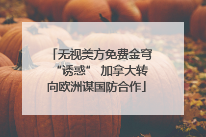 无视美方免费金穹“诱惑” 加拿大转向欧洲谋国防合作