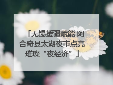 无锡援疆赋能 阿合奇县太湖夜市点亮璀璨“夜经济”