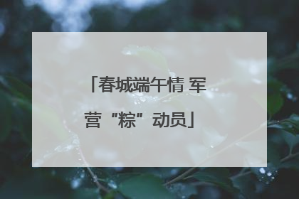 春城端午情 军营“粽”动员