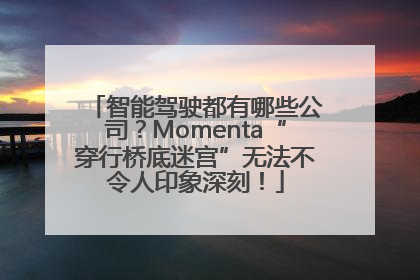 智能驾驶都有哪些公司？Momenta“穿行桥底迷宫”无法不令人印象深刻！