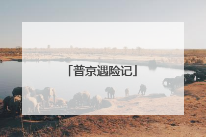 普京遇险记