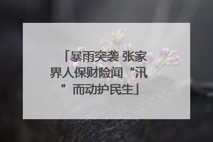 暴雨突袭 张家界人保财险闻“汛”而动护民生